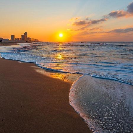 Wanderlust Belgium Oostende Bagian luar foto